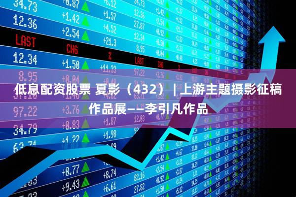 低息配资股票 夏影（432） | 上游主题摄影征稿作品展——李引凡作品