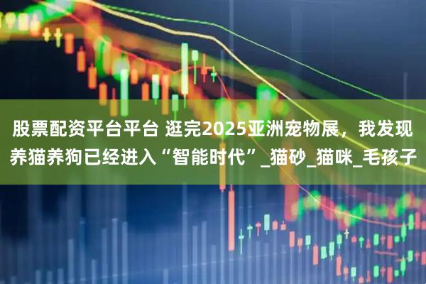股票配资平台平台 逛完2025亚洲宠物展，我发现养猫养狗已经进入“智能时代”_猫砂_猫咪_毛孩子